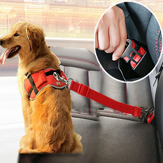 Thick, Adjustable Seat Belt