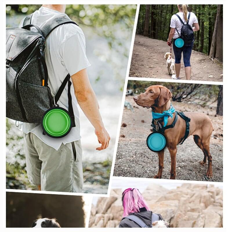 Collapsible Silicone Dog Travel Bowl