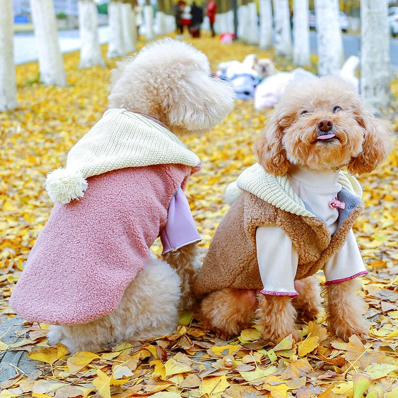 Teddy Jumper With Hooded Pompom