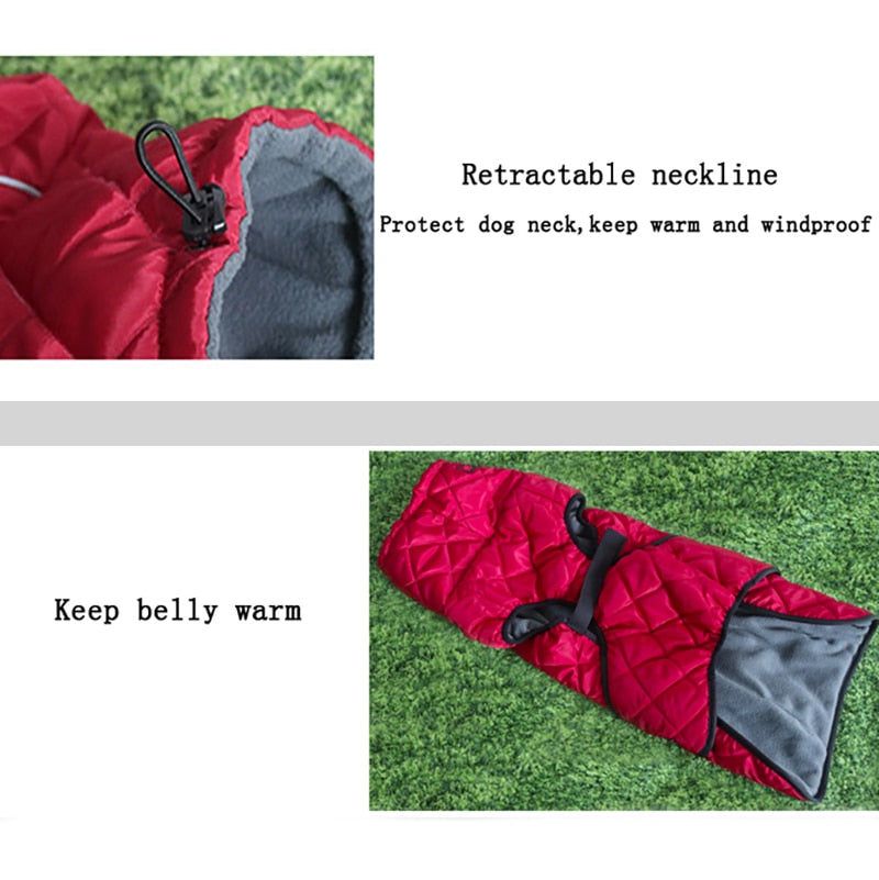 Dog Outdoor Rain Jacket, With Fur Lining