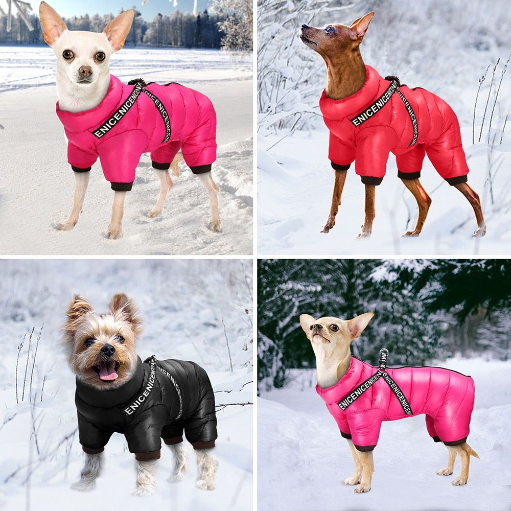 Puffy Rain Coat Style, With Bilt in Harness