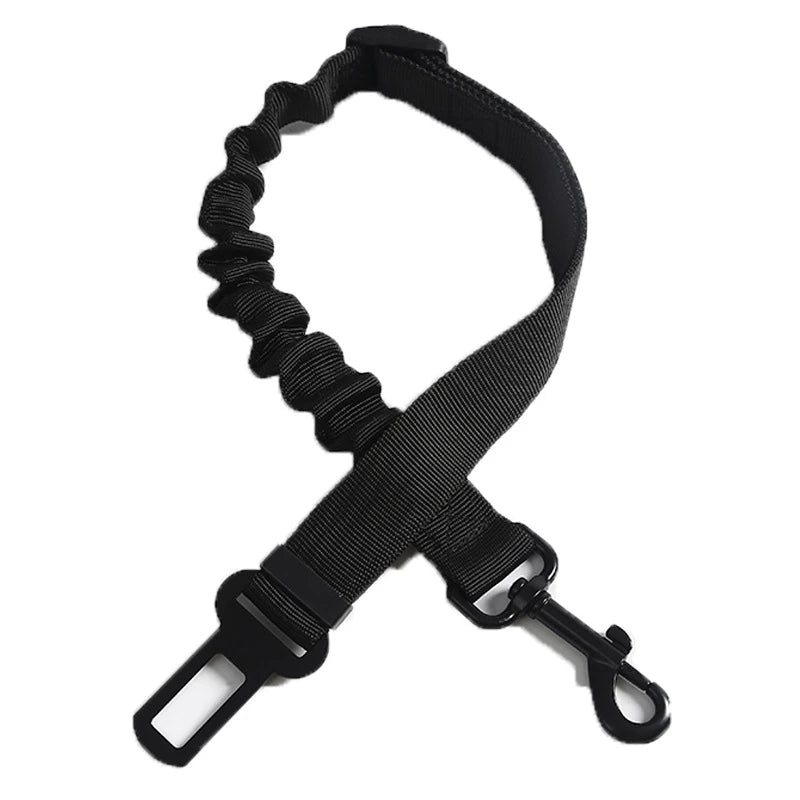 Vehicle Seat Belt