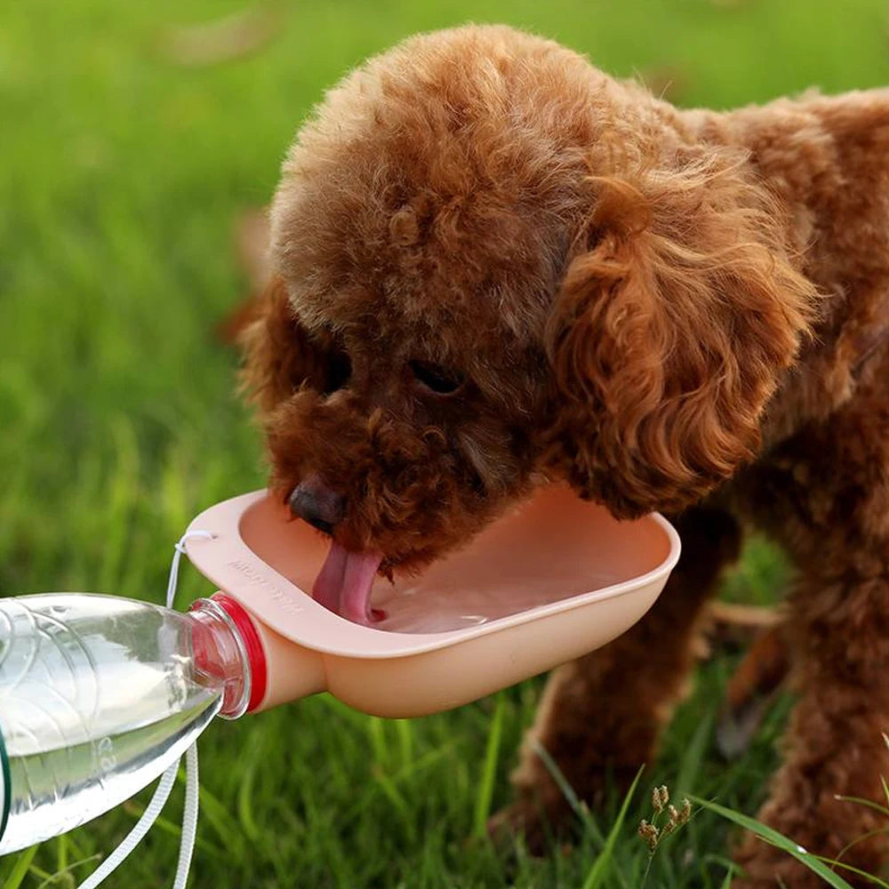 Portable Water Bowl, Attaches To any Water Bottle