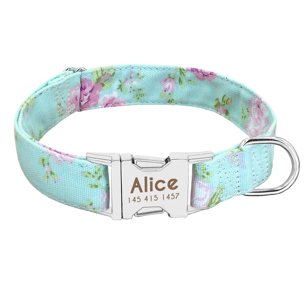 Personalized dog collar, for small to medium breeds