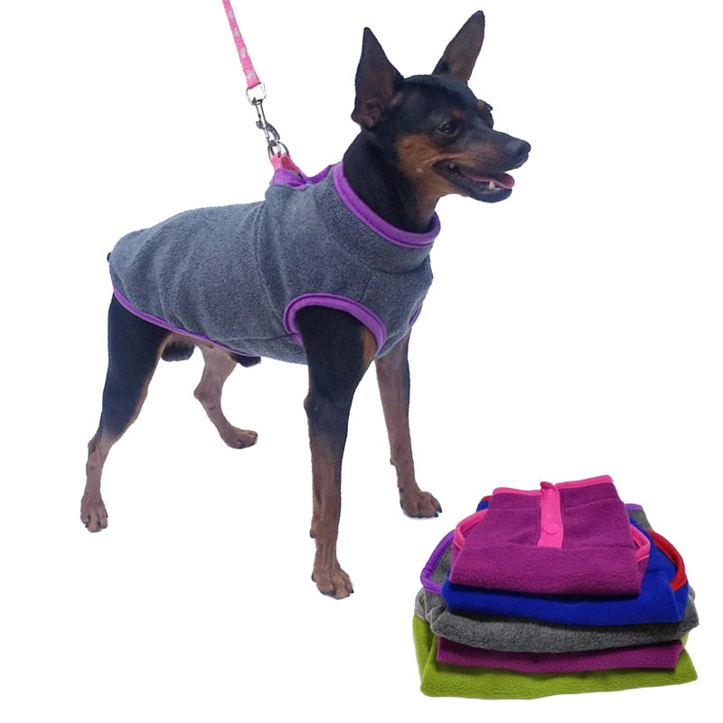 Spring and Autumn Dog Fleece, Cute Button up Style