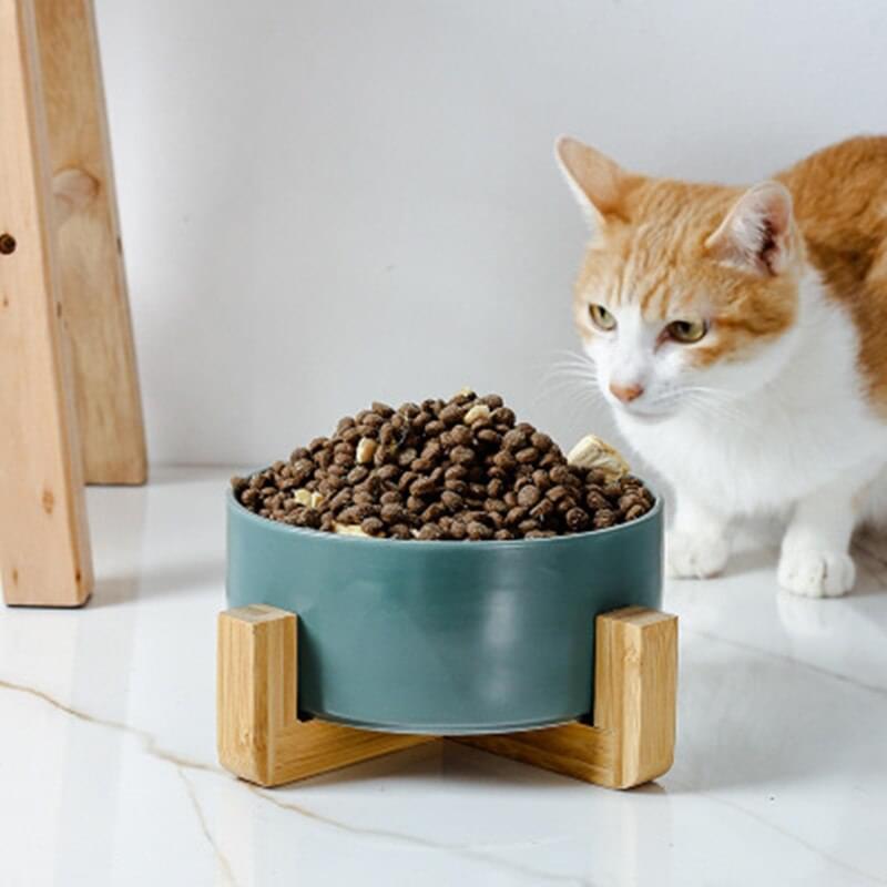 Ceramic Dog Bowl, with Wood Stand, For Food and Water