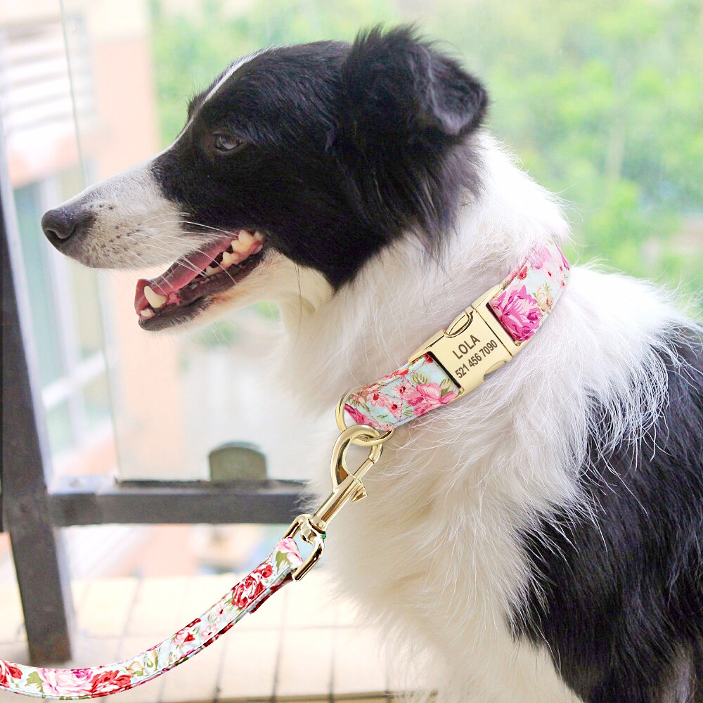 Personalized Dog Collar and Leash Set, with engraving on buckle, for small to Large breeds