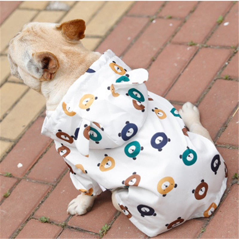 Raincoat, With Cute Design