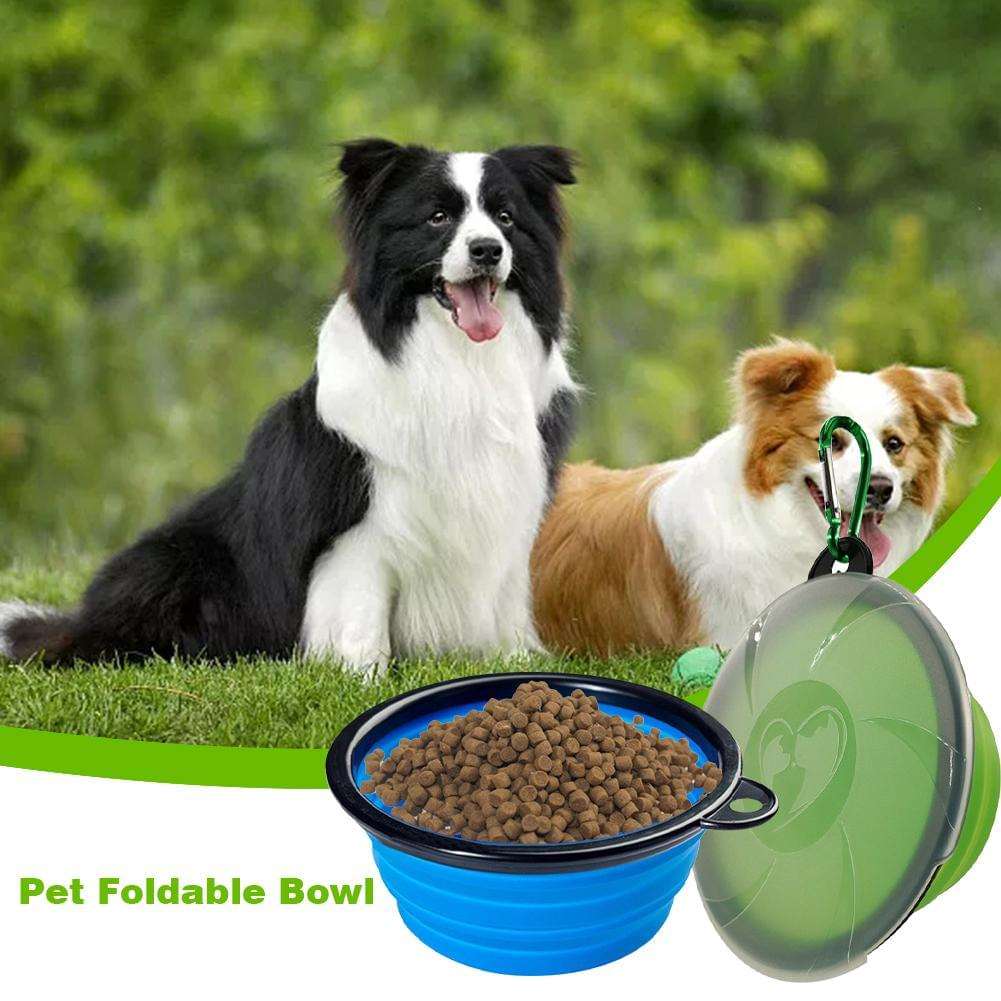 Collapsible Dog Bowl, With Lid