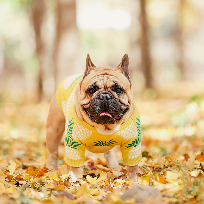 Yellow Pineapple Jumper