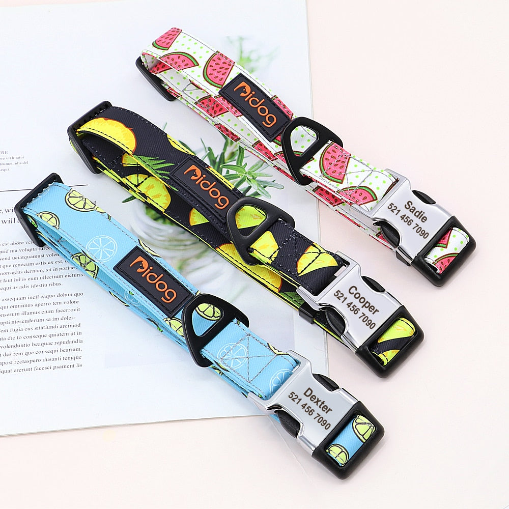 Personalized Dog Collar and lead, as a set or separate, for small to large breeds