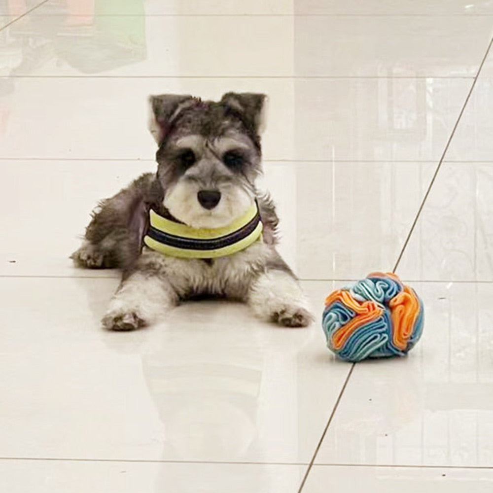 Snuffle Ball Dog Puzzle