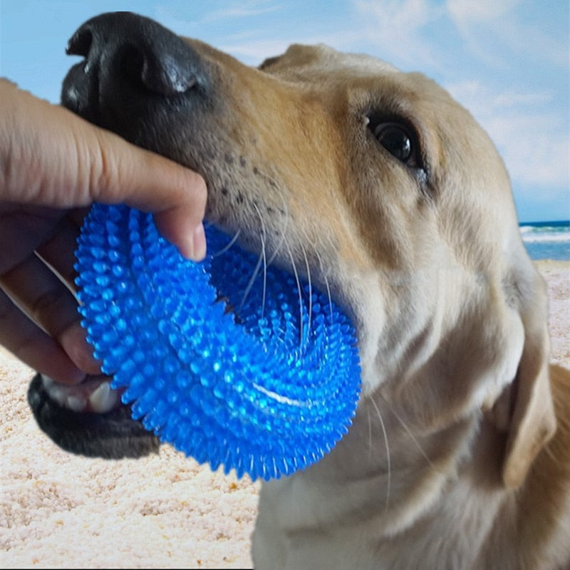 Squeaky Doughnut Ring