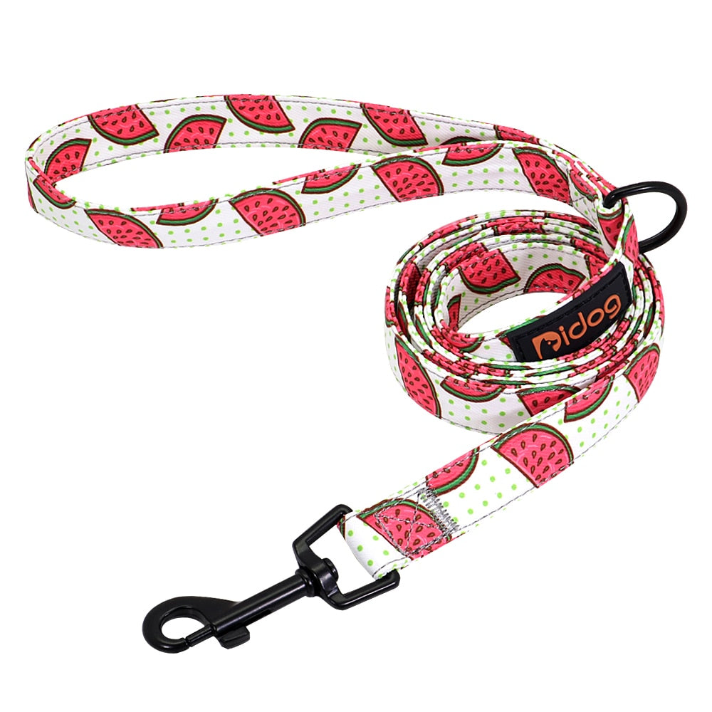 Personalized Dog Collar and lead, as a set or separate, for small to large breeds