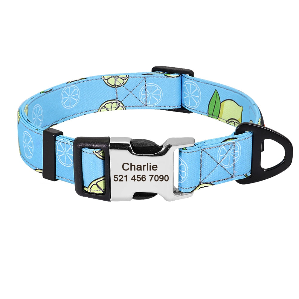 Personalized Dog Collar and lead, as a set or separate, for small to large breeds