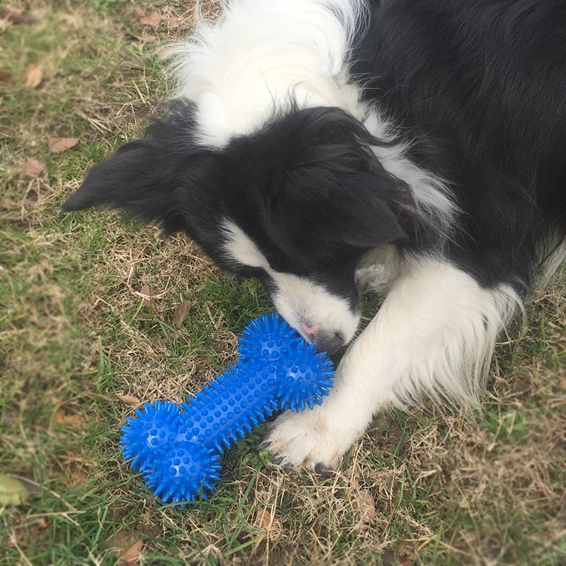 Spiky Squeaky Bone