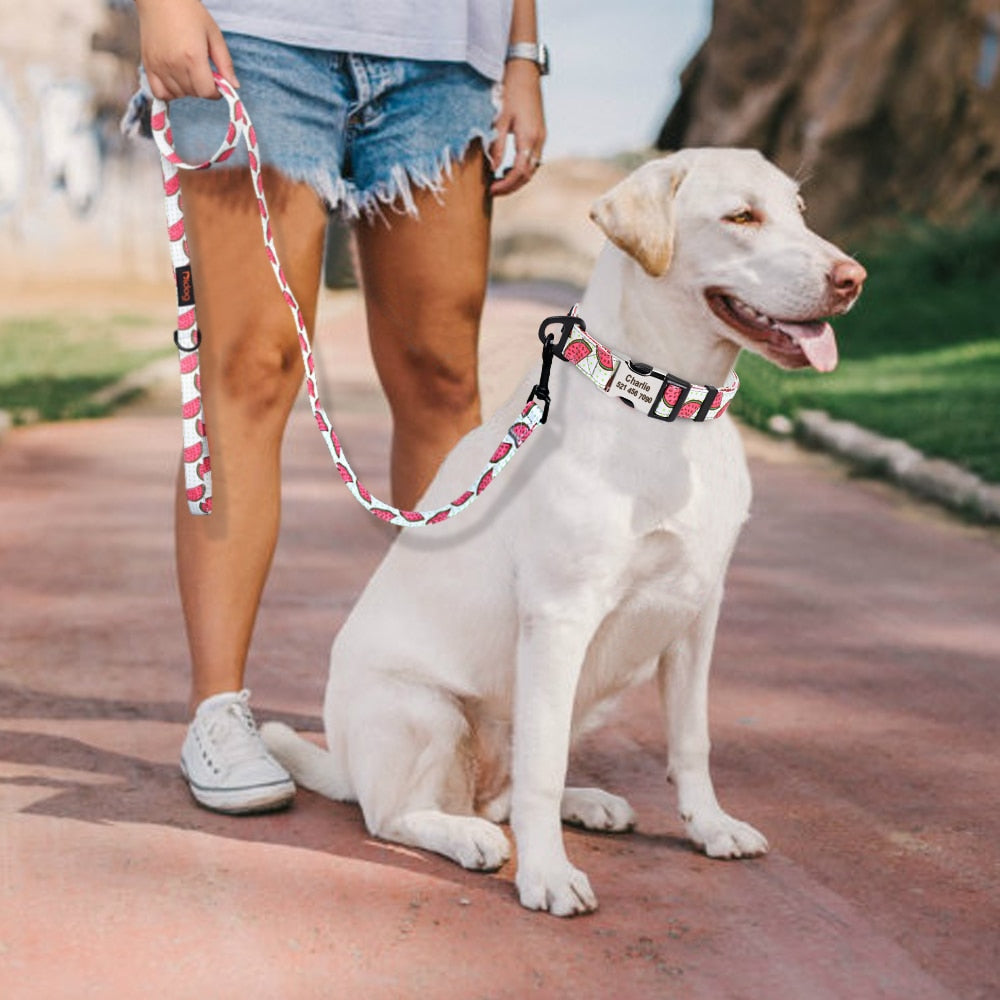 Personalized Dog Collar and lead, as a set or separate, for small to large breeds