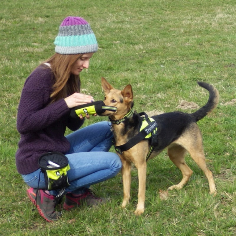 Truelove Training Treat Pouch