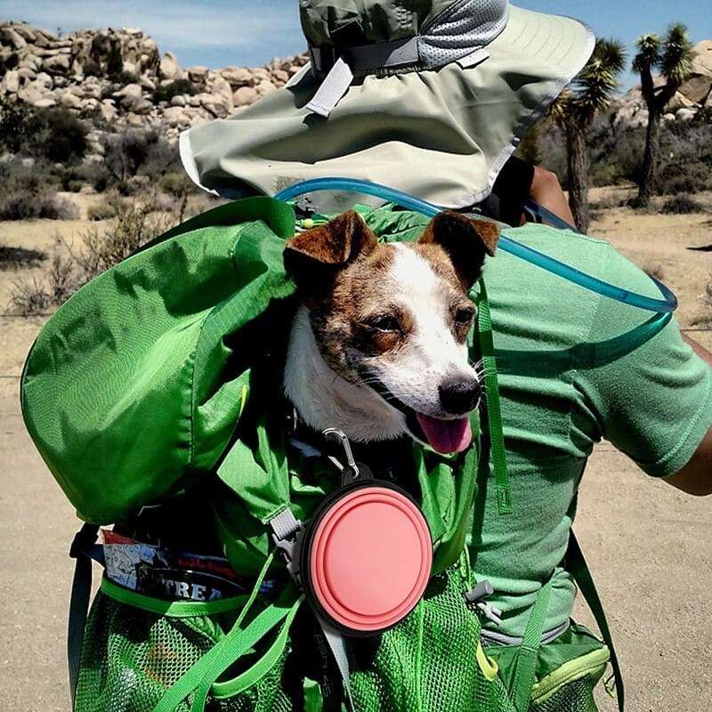 350ml Collapsible, Silicone Dog Bowl, For Water or Food