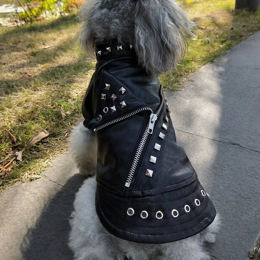 Leather Stud Jacket