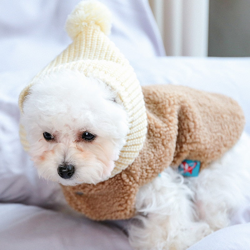 Teddy Jumper With Hooded Pompom