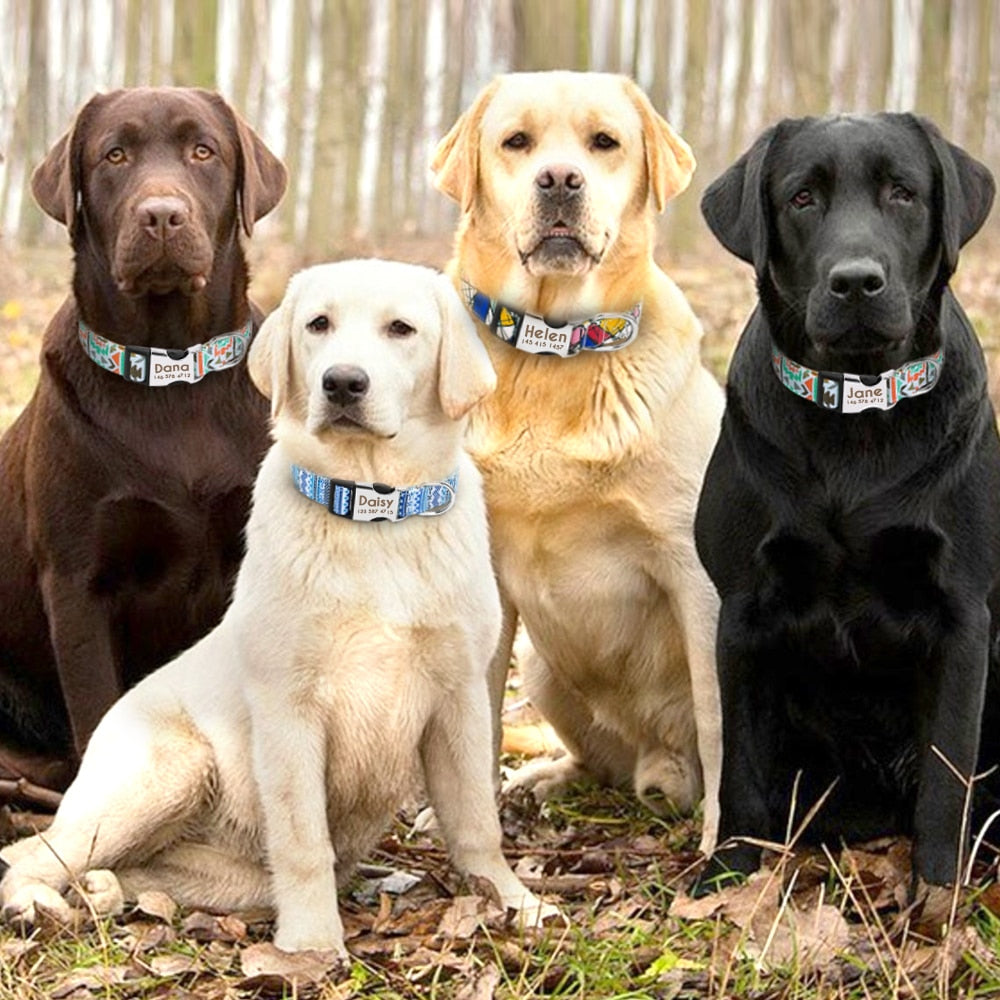 Personalized dog Collar, with Engraveing on buckle, For small to large breeds