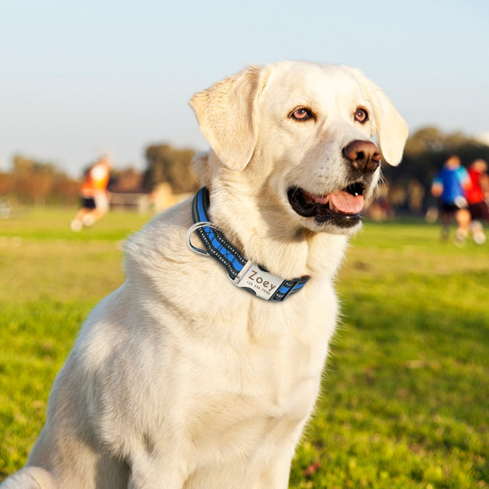 Personalized Reflective Dog Collar, with Engraveing, For small to large breeds