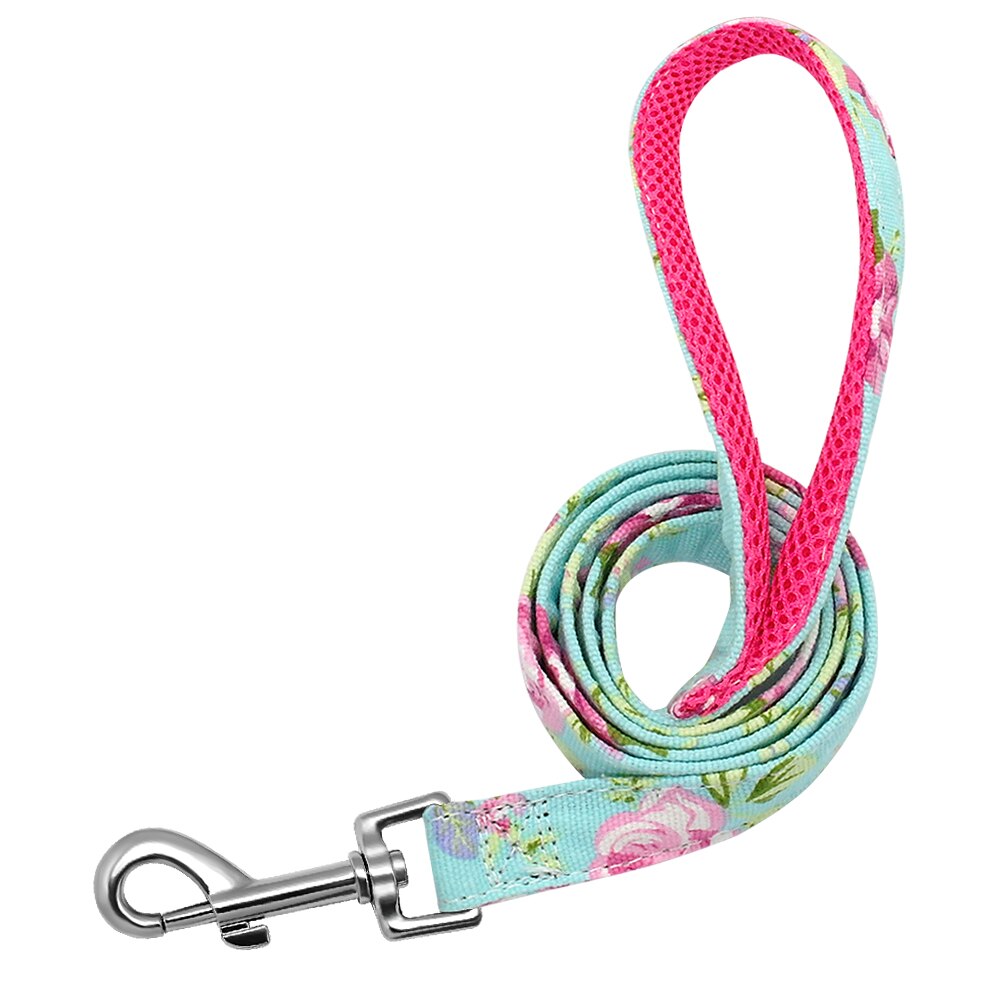 Personalized Dog Collar & Lead, for small to Large breeds