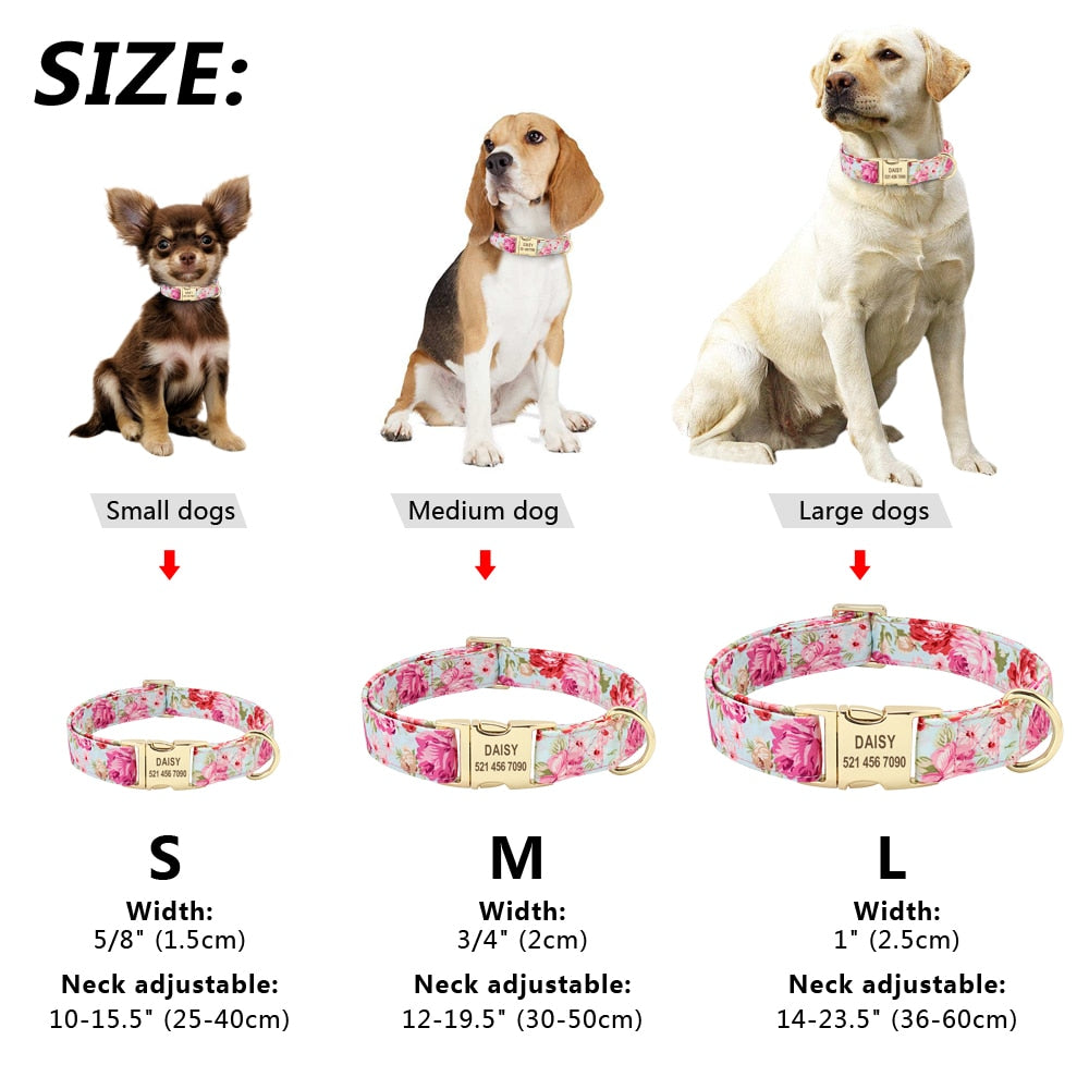 Personalized printed collar, with engraving, for small to large breeds