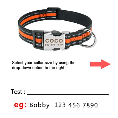 Personalized Reflective Dog Collar, with Engraveing, For small to large breeds