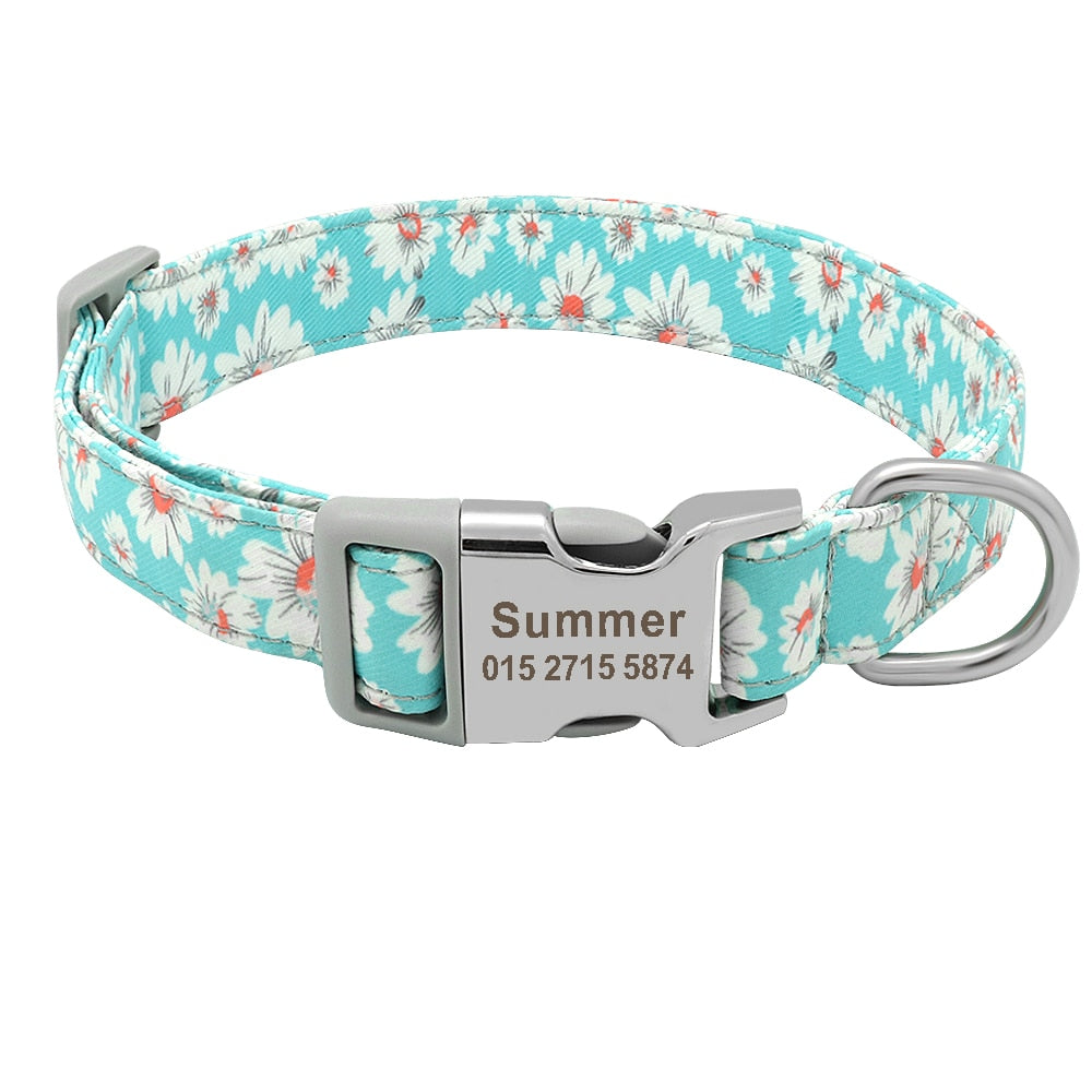 Personalized bright and outgoing dog collar, with engraveing on buckle, for small to large breeds