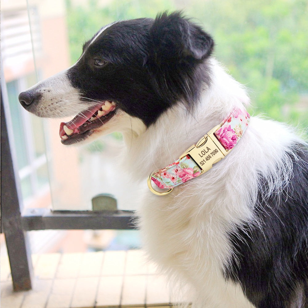 Personalized printed collar, with engraving, for small to large breeds