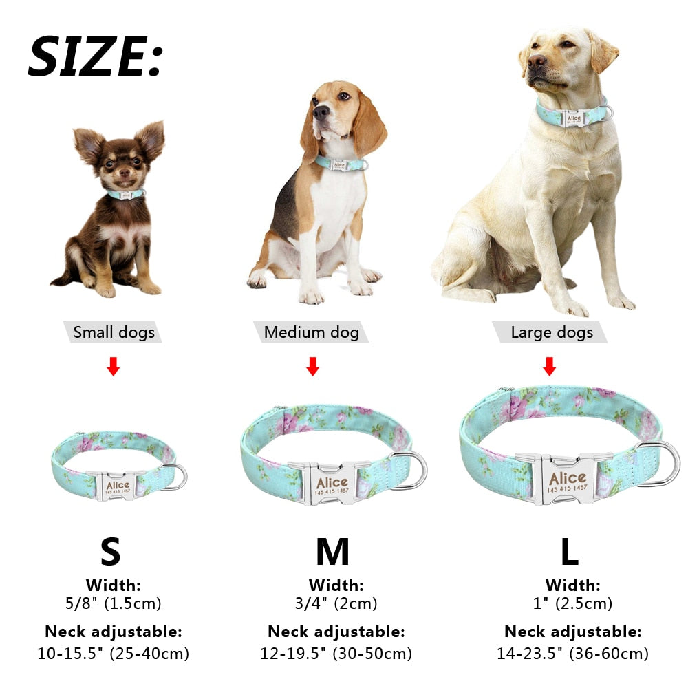 Personalized funkiy Dog Collar, Engraveing on buckle, for small to large breeds