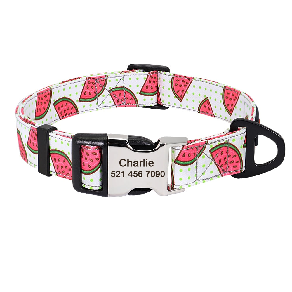 Personalized Dog Collar and lead, as a set or separate, for small to large breeds