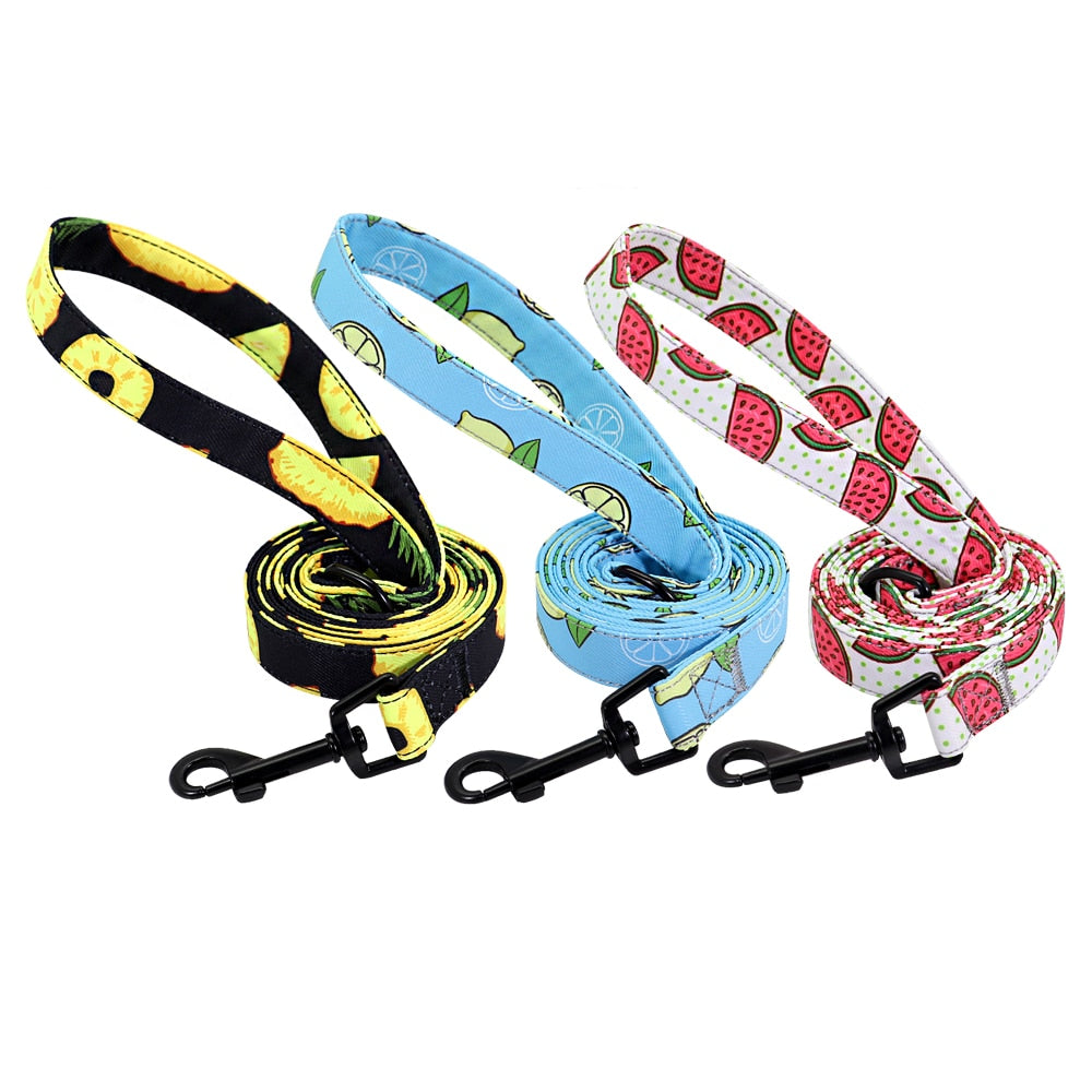 Personalized Dog Collar and lead, as a set or separate, for small to large breeds