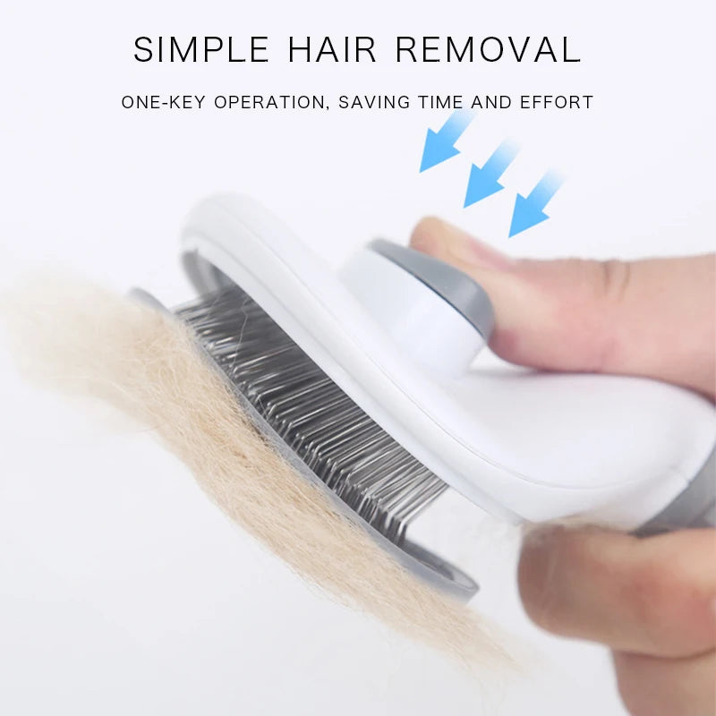 Self Cleaning Brush