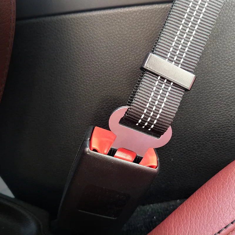 Adjustable, Polyester Seat Belt