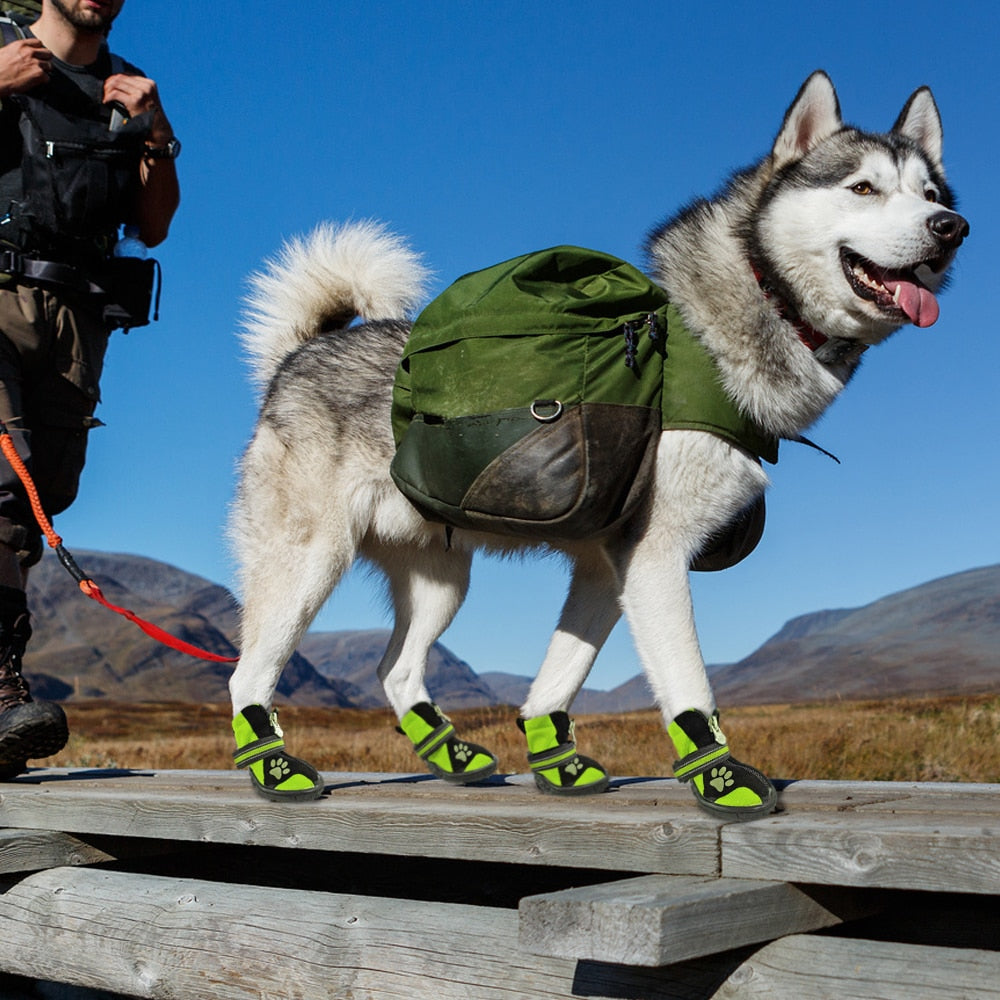 Paw Print With Zip, Anti-Slip Boots