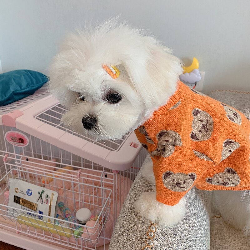 Orange Jumper, With Cute Bear