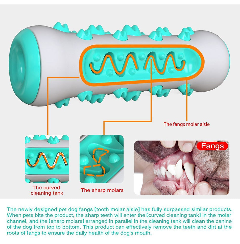 Molar Toothbrush, Cleaning Chew