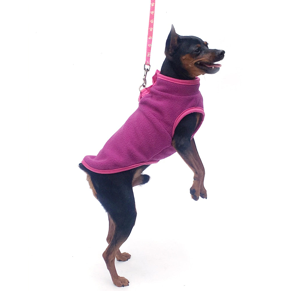 Spring and Autumn Dog Fleece, Cute Button up Style