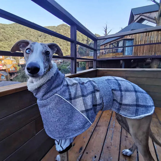 Winter Plaid Coat