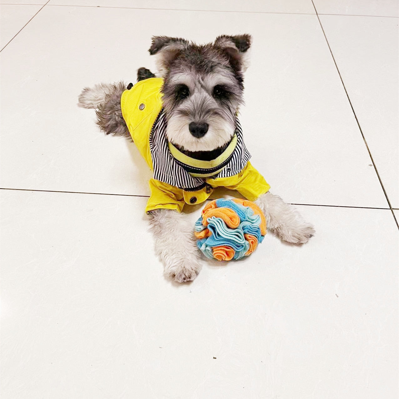 Snuffle Ball Dog Puzzle