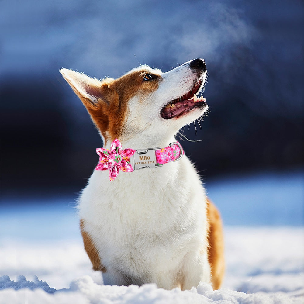 Personalized Dog Collar, With Flower Engraved on buckle, for small to extra large breeds