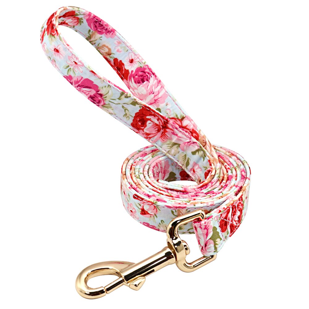 Personalized Dog Collar and Leash Set, with engraving on buckle, for small to Large breeds