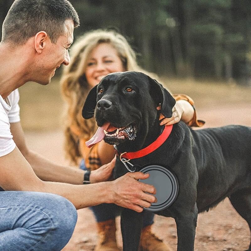 350ml Collapsible, Silicone Dog Bowl, For Water or Food