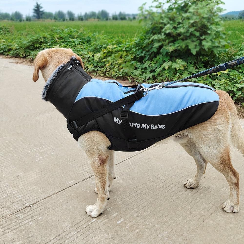 "My World My Rules" Rain Coat, With Fur Neck, For Large Breeds