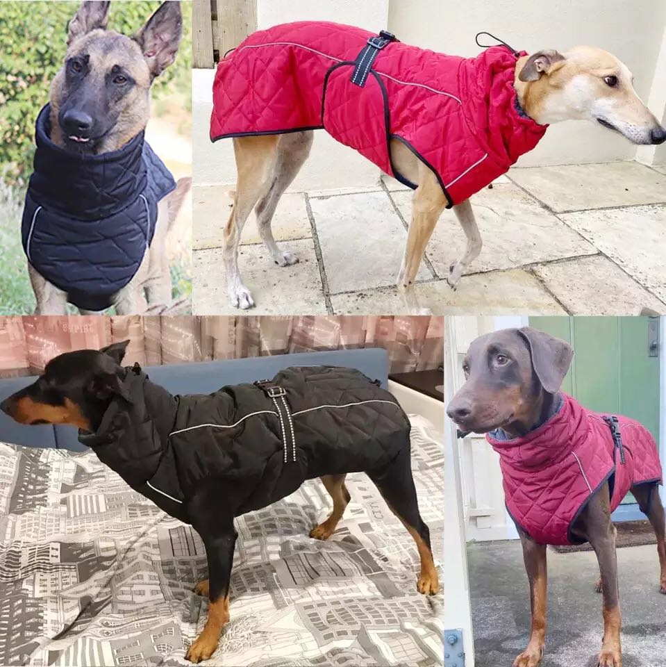 Dog Outdoor Rain Jacket, With Fur Lining