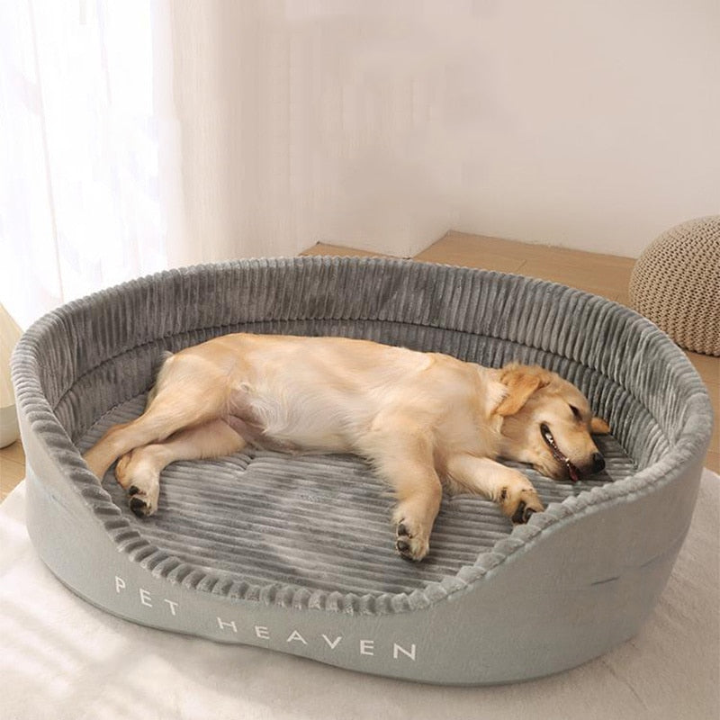 Soft Double-Side Dog Bed, With Outside Boder