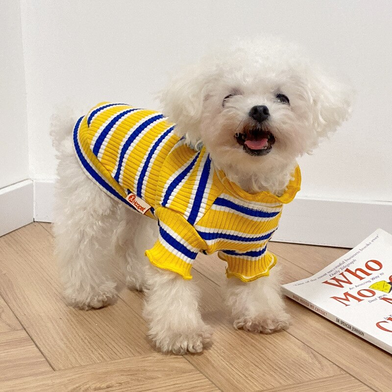 Striped Summer Colours Jumper